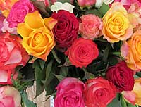 Rosen zum Valentinstag