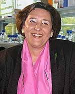 Prof. Dr. Hannelore Daniel