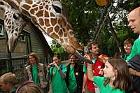 Giraffe Fine mit Kindern mit Diabetes