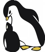 Logo der PINGUIN-Studie