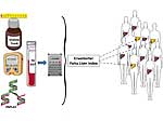 Erweiteter Fatty-Liver-Index