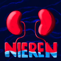 Nieren.