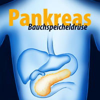 Bauchspeicheldrüse