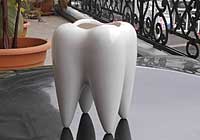 Zähne erhalten durch Paodontitisvorbeugung.