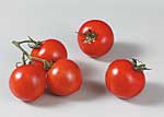 Tomaten