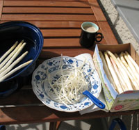 Spargel schälen am 1. Mai.