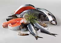 Fische